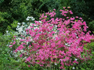 Kancelaria prawa upadłościowego i restrukturyzacyjnego Agnieszka Lenarczyk